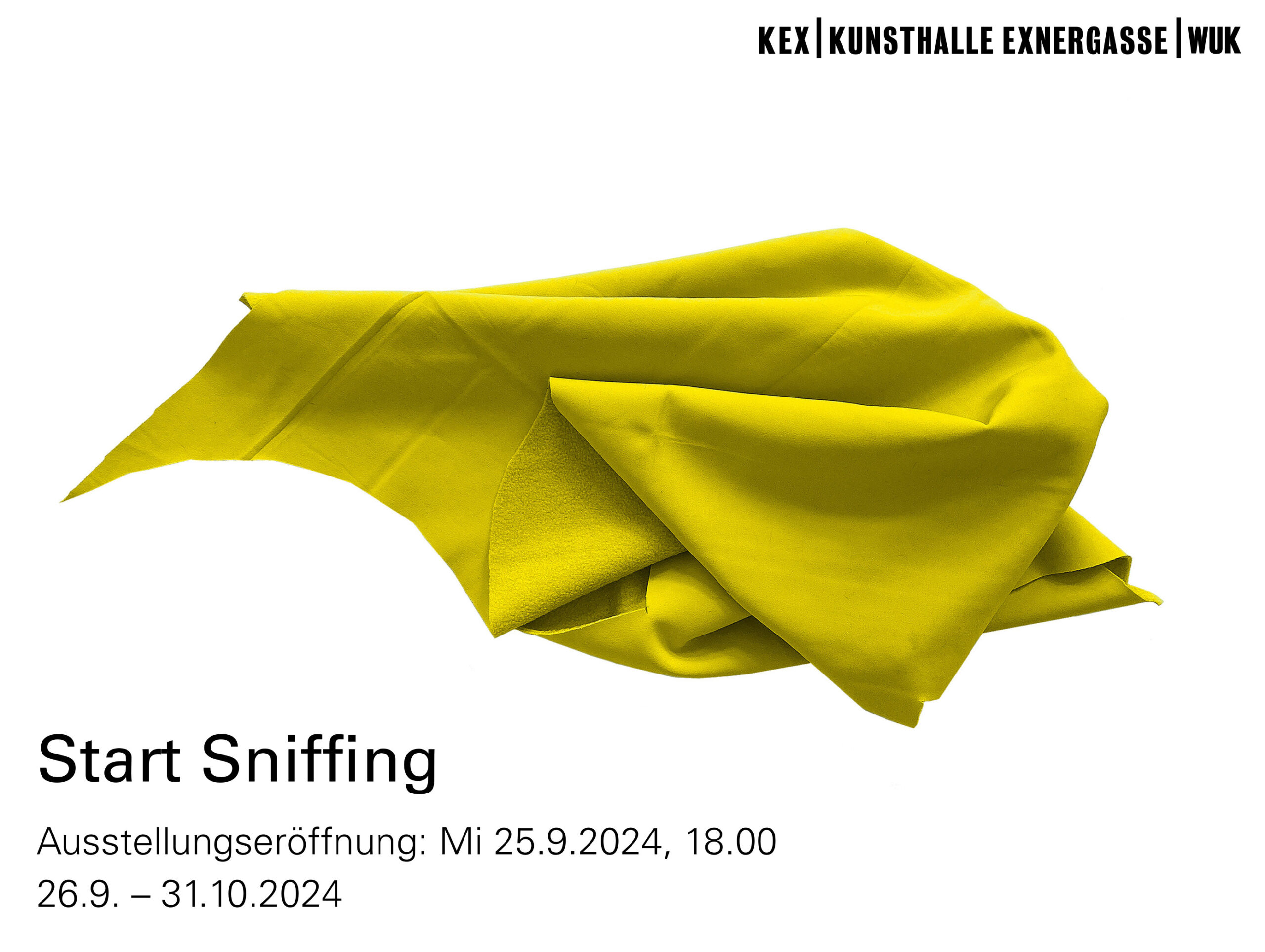 Start Sniffing / KEX, Wien